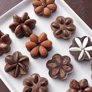 Chocolate Inclusions and Decorations Market Size, Industry Growth | Analysis 2024-2032