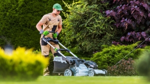 Commercial Plant Care and Lawncare Services: Keeping Your Business Green and Inviting