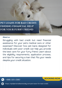 Pet Loans for Bad Credit