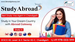 Best Visa Consultants in Chandigarh for Permanent Solutions