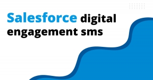 Effective Salesforce Digital Engagement through SMS and WhatsApp Integration