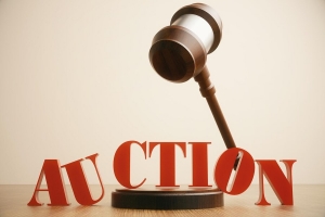 The Power of Reverse Auction Software: Enhancing Competitive Bidding