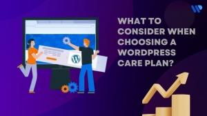 What to Consider When Choosing a WordPress Care Plan?