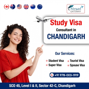 Finding Trusted Visa Consultants in Chandigarh