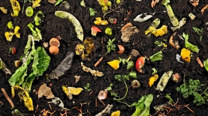 Exploring the Composting Culture: Embracing Sustainable Practices for a Greener Future