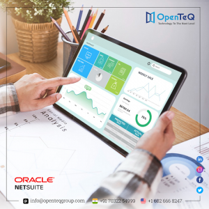 A Holistic Solution with NetSuite Supplier Portal by OpenTeQ