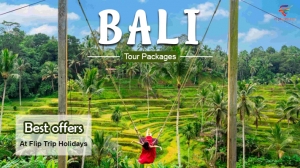 Ways to Get the Most Out of Your Bali Package