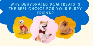 Why Dehydrated Dog treats is the Best Choice for Your Furry Friend?