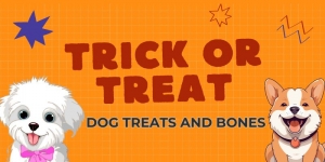 How to Select the Right Bone Treats for Different Dog Breeds?