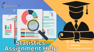 Improve Your Grades with Professional Statistics Assignment Help