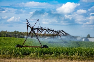 Irrigation Installation for Residential Properties in Saudi Arabia