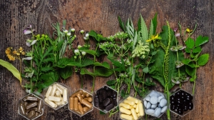 The Benefits of Natural Ingredients in Supplements