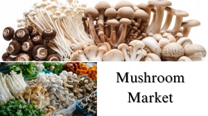 Mushroom Market Size, Share, Growth Insights and Forecast to 2032