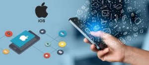 Modern app development services are offered by DXB APPS, your dependable source for mobile app development.