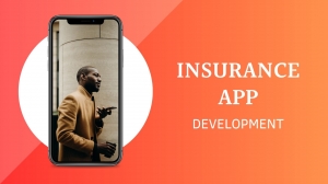 Process Of Insurance Application Development In 2024