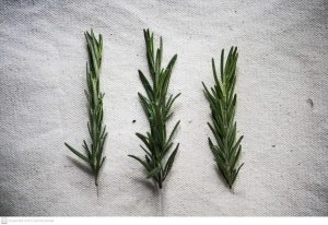 Rosemary Leaves: The Natural Solution for Hair, Skin, and Body Care