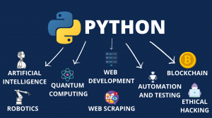 Why Python has become the best choice for Startups?