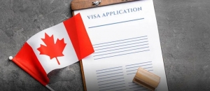 How an Immigration Consultant in Regina Can Simplify Your Visa Application Process