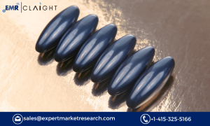 Ferrite Magnet Market