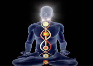 Understanding Subtle Anatomy and the Chakras in Yoga