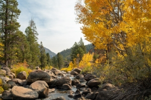 Discover the Top Trails for Hiking in South Lake Tahoe