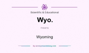 WYO Meaning in Text: Understanding the Slang and Its Usage