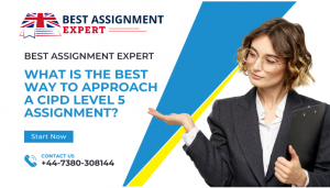 What is the best way to approach a CIPD Level 5 assignment?