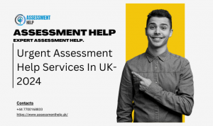 Urgent Assessment Help Services In UK- 2024