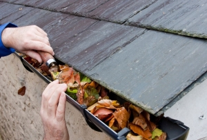 The Role of Gutter Cleaning in Maintaining Property Value