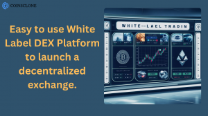 White Label Decentralized Exchange for Startups and Entrepreneurs 