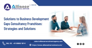 Solutions to Business Development Gaps Consultancy Franchises: Strategies and Solutions