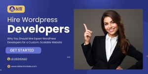 Why You Should Hire WordPress Developers: A Complete Guide