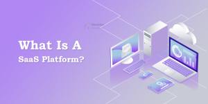 What Is A SaaS Platform? | A Comprehensive Guide 2024