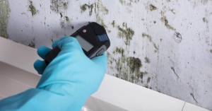 Professional Mold Testing Service USA | Mold Testing Process by Mold Remediators