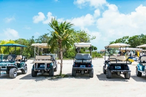 Would it be a good idea for me to Lease a Golf Truck on Ambergris Caye, Belize?