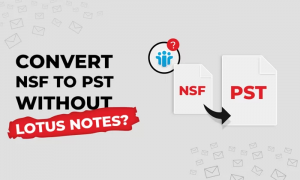 How to Open and View NSF Files Without Lotus Notes: A Comprehensive Guide