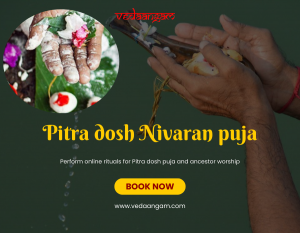 Pitra Dosh Nivaran Puja in Gaya: A Spiritual Path to Resolving Ancestral Issues