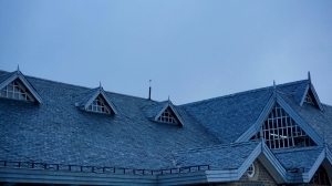 Spotting Roof Damage Before It Becomes a Major Problem