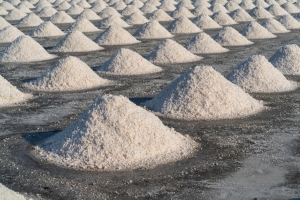 How to Choose the Best Salt Exporter: A Comprehensive Guide for Buyers