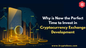 Why is Now the Perfect Time to Invest in Cryptocurrency Exchange Development?