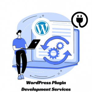 wordpress plugin development services