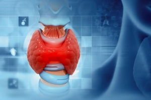 Endocrine System Tissue Microarrays for Research Applications