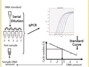 Mammalian DNA Residue Assay Kits (qPCR) for Enhanced Biopharmaceutical Research