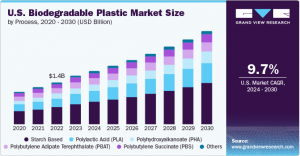 Biodegradable Plastic Market Analysis: Key Players and Competitive Insights