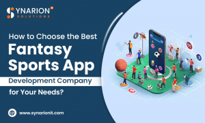 How to Choose the Best Fantasy Sports App Development Company for Your Needs?