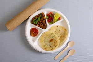 Marketing Bagasse Plates to Eco-Conscious Consumers: Strategies for Success