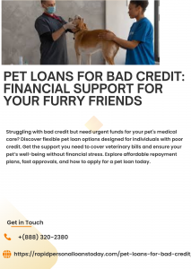 Pet Loans for Bad Credit: Financial Support for Your Furry Friends