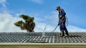 DIY Roof Washing: What You Need to Know Before You Start