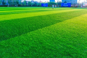 How Do I Find A Reliable Artificial Turf Hire Company In Australia?