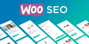 Woocommerce SEO Services: Explore Best Practices 